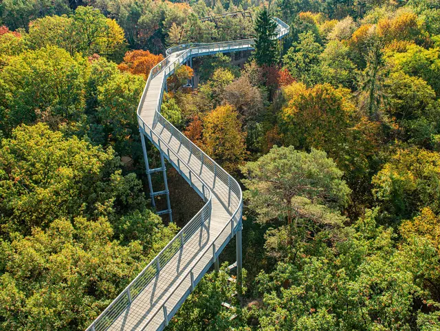 Aussicht auf den Baumwipfelpfad an einem herbstlichen Tag