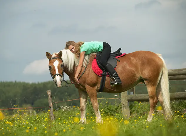 im Urlaub auf dem Reiterhof in Bayern die Nähe zu Pferden genießen