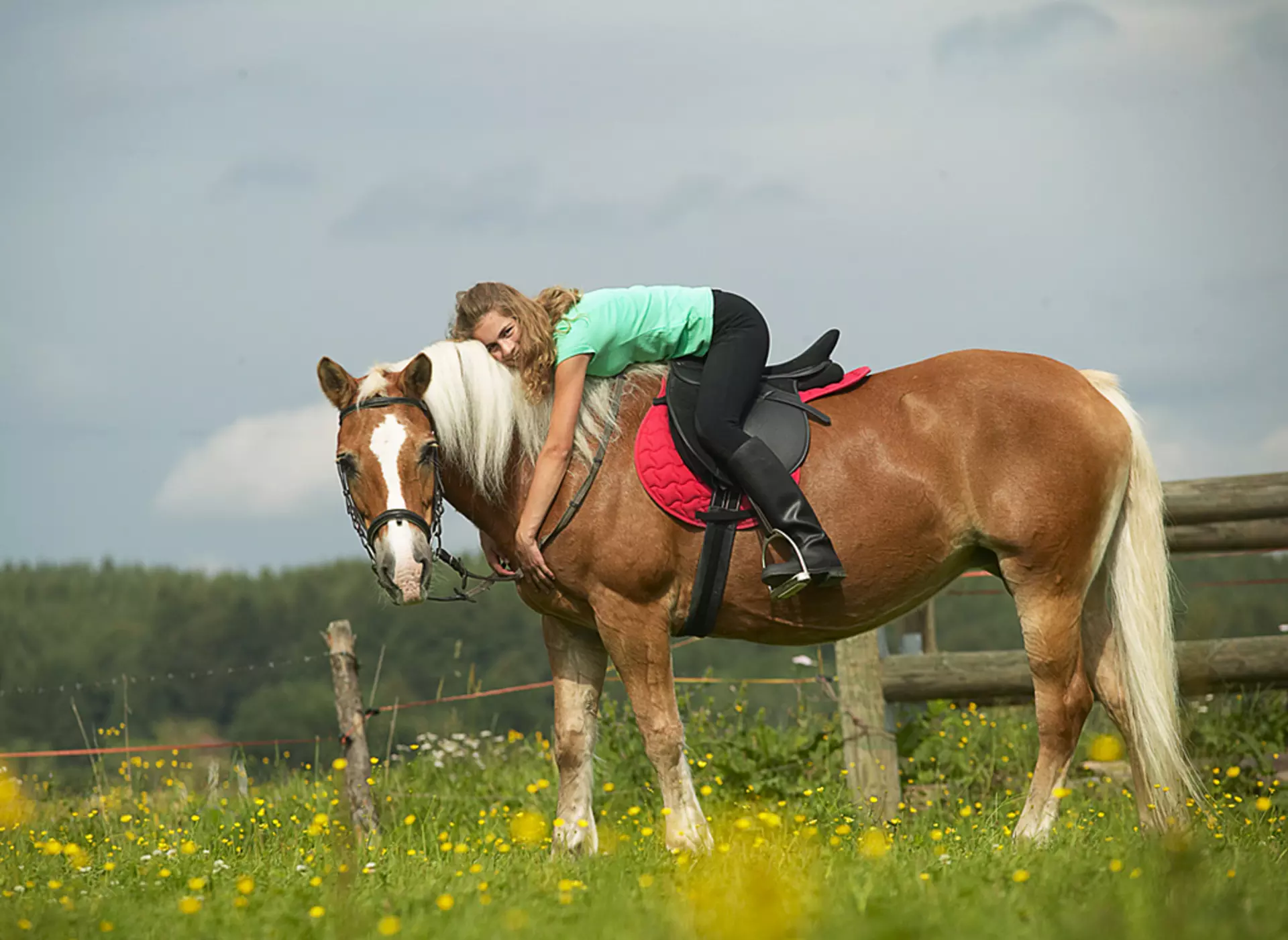 im Urlaub auf dem Reiterhof in Bayern die Nähe zu Pferden genießen