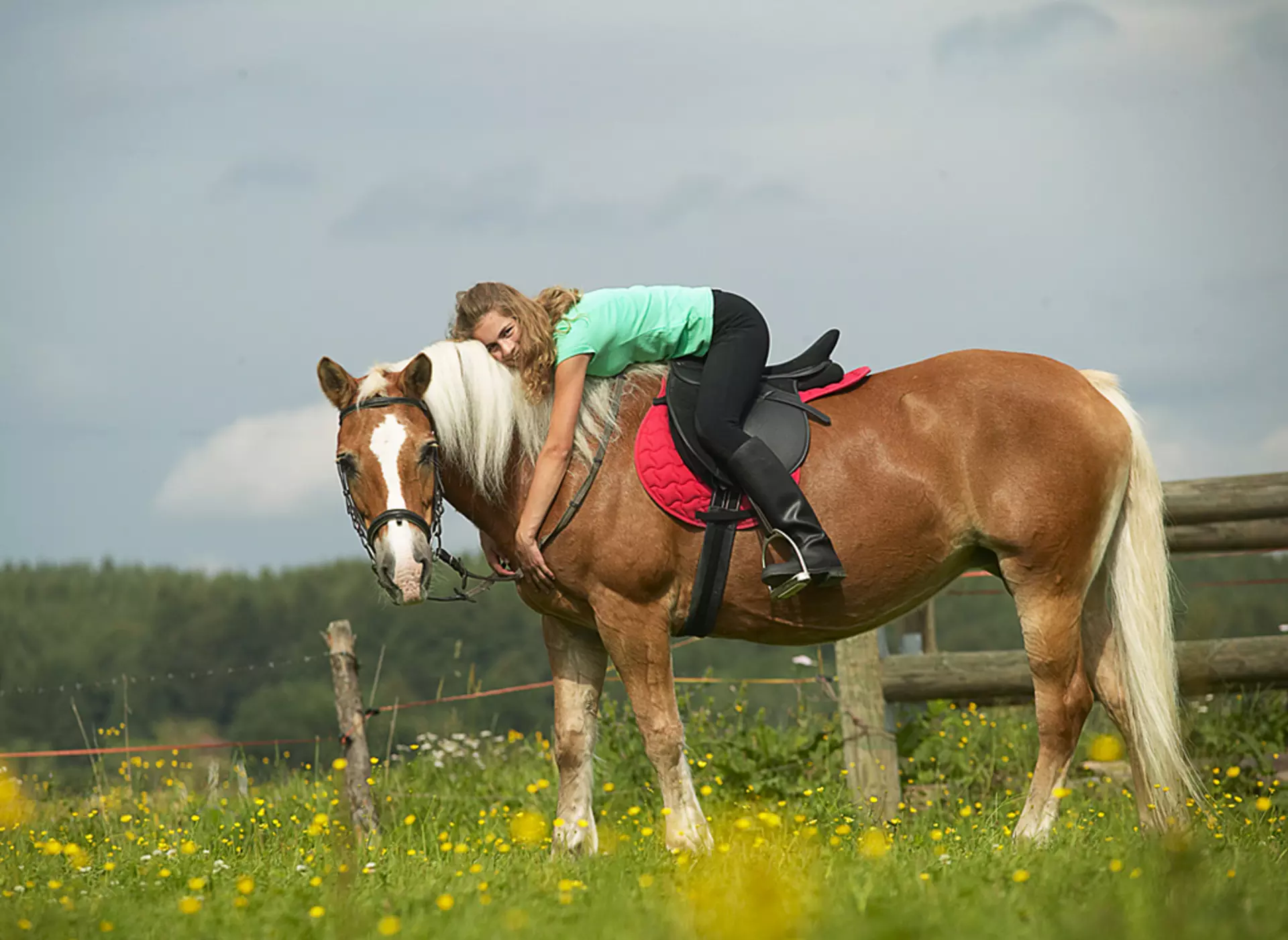 Streicheleinheiten für Pferd und Reiterin - © Blauer Gockel, im Urlaub auf dem Reiterhof in Bayern die Nähe zu Pferden genießen