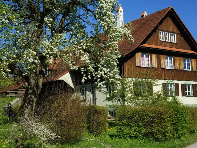 D, Bayern, Bodensee, Frühling mit Baumblüte am Bodensee, Bodenseehinterland um Unterreitnau