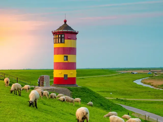 Gelb-roter Leuchtturm mit Schafsherde am Deich. 