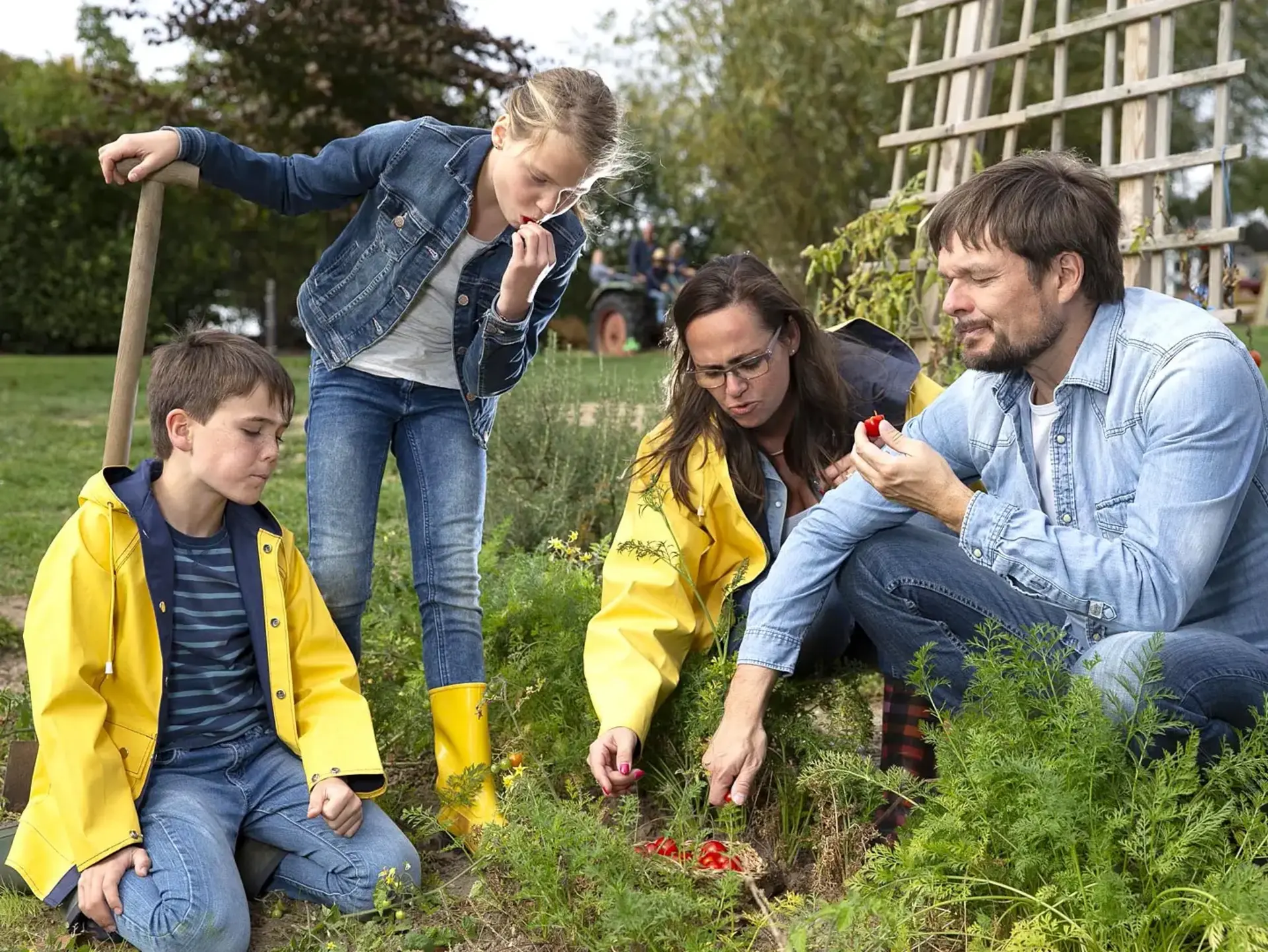 Bei der Ernte im Bauerngarten mithelfen - © Urlaub auf dem Bauernhof SH e.V., Timon Suhk im Familienurlaub auf dem Bauernhof in Schleswig-Holstein bei der Gemüseernte im Bauerngarten helfen