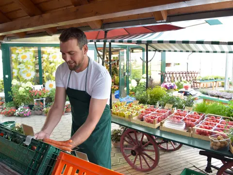 biohof mit Hofladen - Verkauf und Handel von frischem Bio Obst und Gemüse beim Erzeuger - Mann verkauft // biohof with farm shop - sale and trade of fresh organic fruit and vegetables at the grower alt="im Urlaub am Weingut im Taubertal eine Weinbergwanderung mit dem Winzer machen"