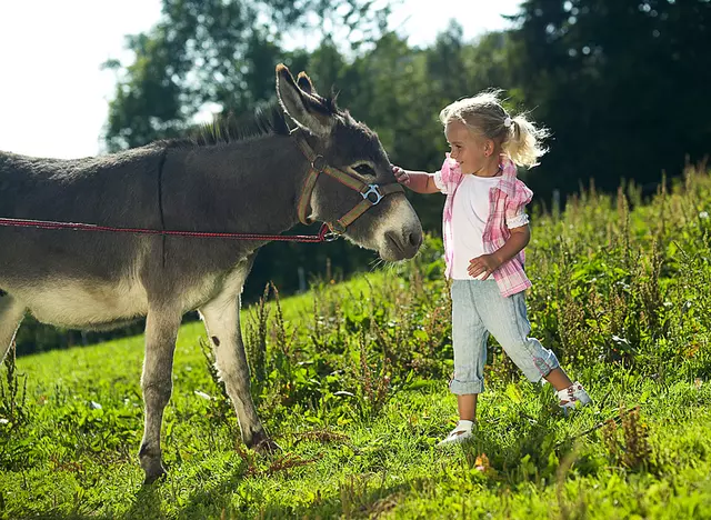 auf dem Kinderbauernhof in Bayern Tiere streicheln und entdecken