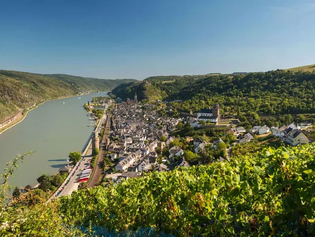 im Urlaub am Mittelrhein eine Wanderung nach Oberwesel machen und die herrliche Aussicht auf den Rhein genießen