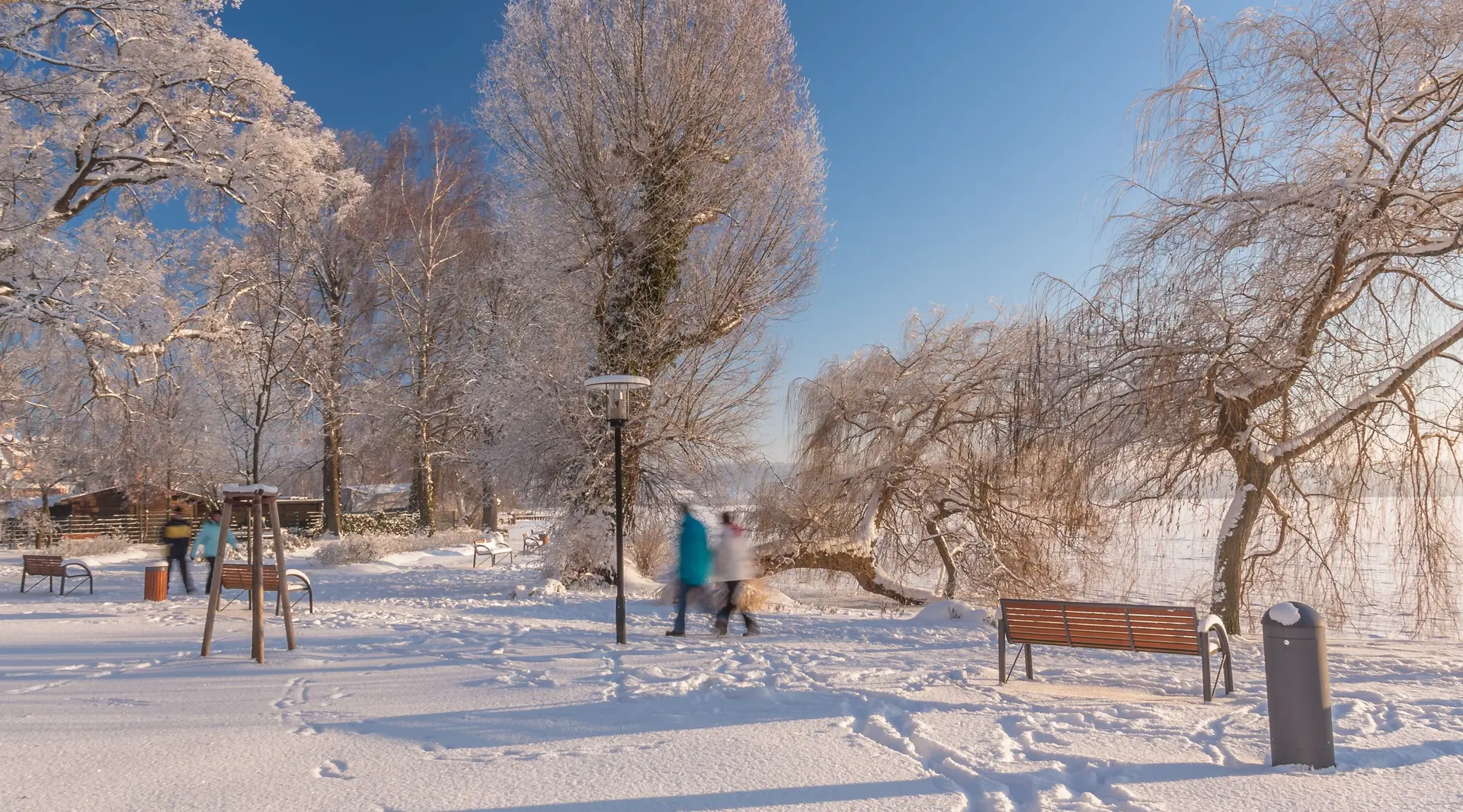 Wintertag am Kietz in Waren Müritz mit Raureif