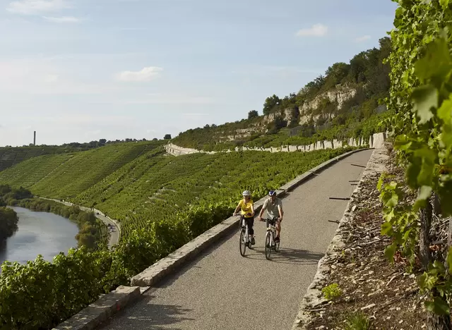 im Urlaub auf dem Winzerhof eine Radtour durch die Weinberge machen