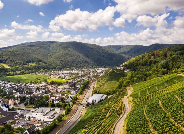 im Urlaub im Ahrtal eine Weinbergwanderung machen und die Aussicht auf Ahrweiler genießen