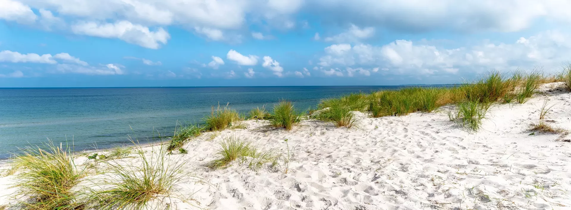 Blick aufs Meer vom Sandstrand mit Strandhafer in Dierhagen an der Ostsee