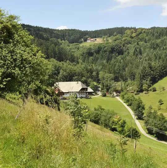 im Landurlaub oder Urlaub auf dem Bauernhof in Baden-Württemberg die Regionen zwischen Schwarzwald und Bodensee entdecken