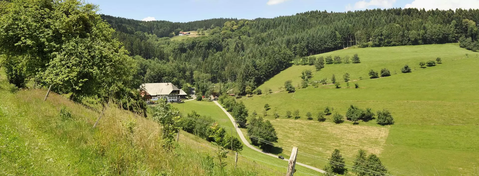 im Landurlaub oder Urlaub auf dem Bauernhof in Baden-Württemberg die Regionen zwischen Schwarzwald und Bodensee entdecken