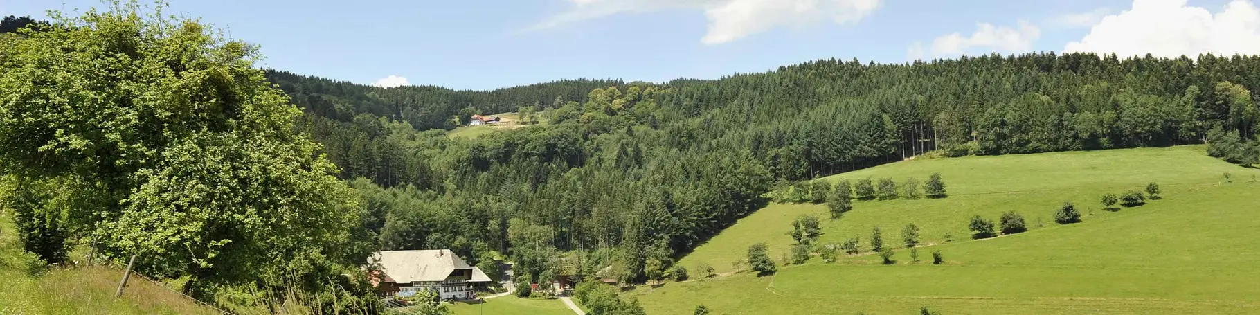 im Landurlaub oder Urlaub auf dem Bauernhof in Baden-Württemberg die Regionen zwischen Schwarzwald und Bodensee entdecken
