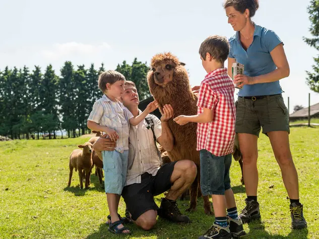 im Familienurlaub auf dem Bauernhof im Westerwald den Wildpark Marienpark besuchen