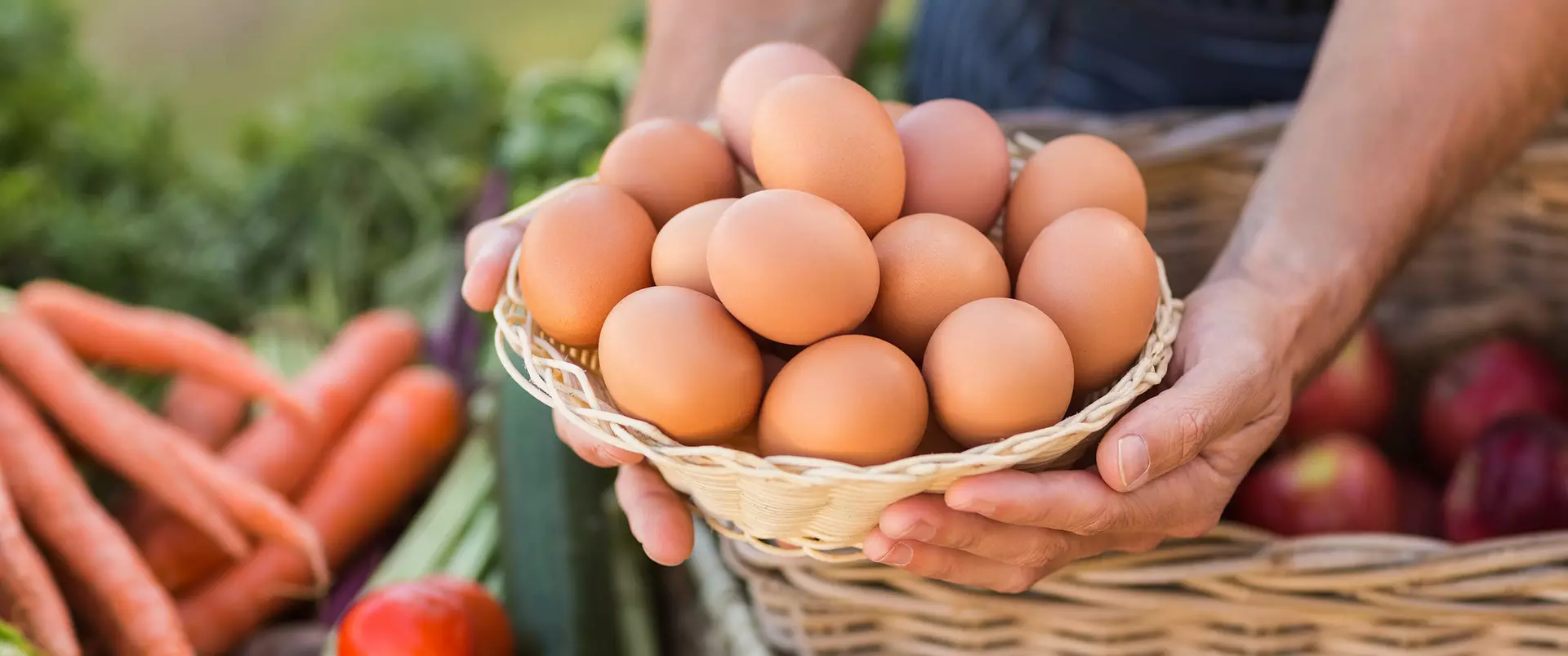 im Urlaub auf dem Bauernhof in Thüringen frische Eier, Obst und Gemüse einkaufen