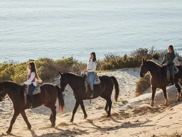 drei Pferde reiten mit Reiterinnen durch die Dünen, im Hintergrund sieht man das blaue Meer. 
