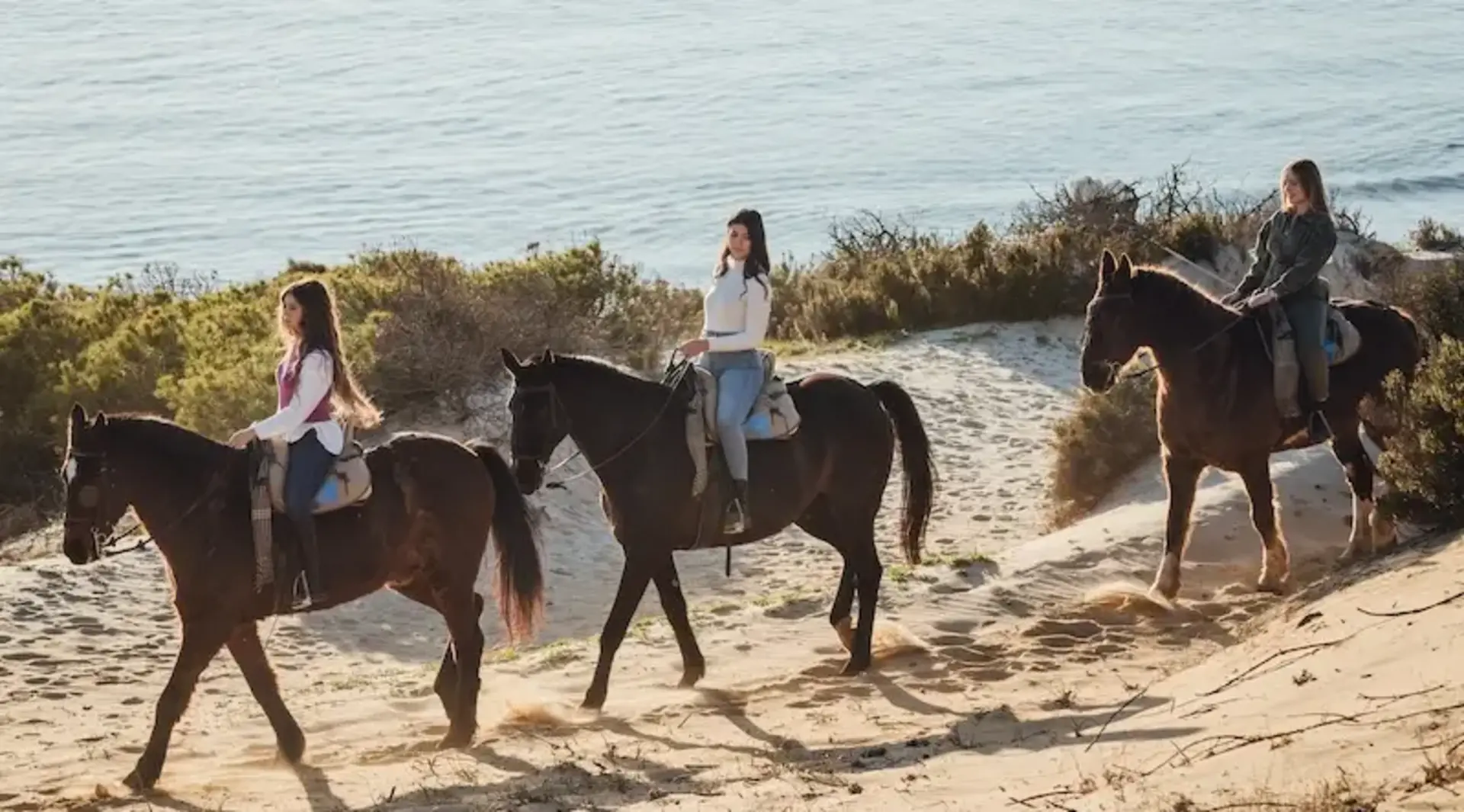 Ausritt am Strand - Reiturlaub auf Fehmarn - © © Julio - AdobeStock drei Pferde reiten mit Reiterinnen durch die Dünen, im Hintergrund sieht man das blaue Meer.