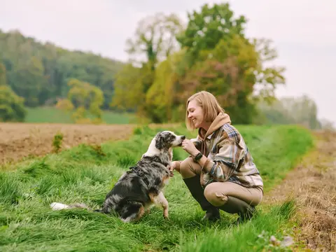 Urlaub mit Hund auf dem Land – Gemeinsame Zeit in der Natur - © annanahabed, adobe stock alt="Urlaub mit Hund im Bayerischen Wald – Gemeinsame Zeit in der Natur"