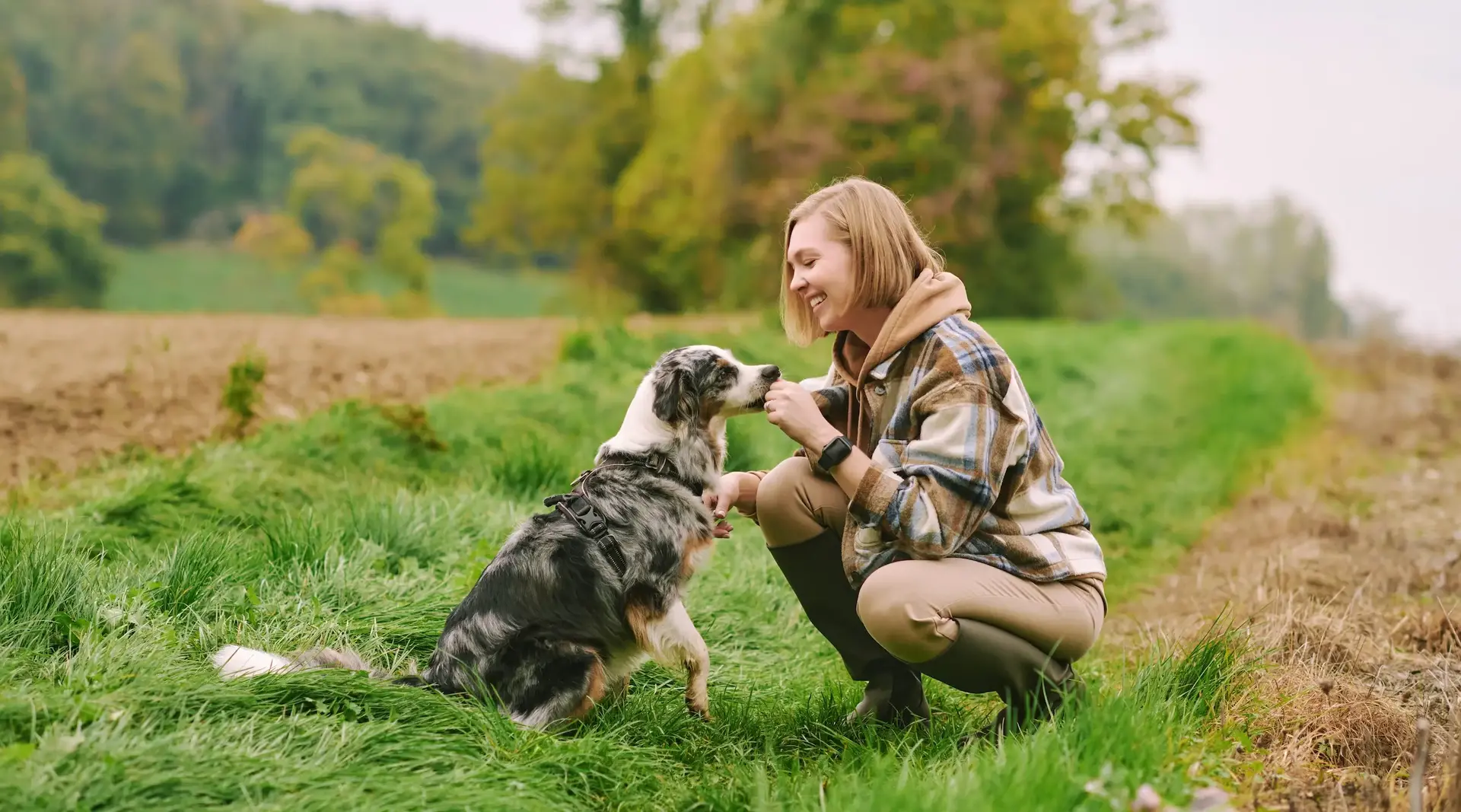Frau spielt mit Hund auf einem Feldweg in der Natur 
