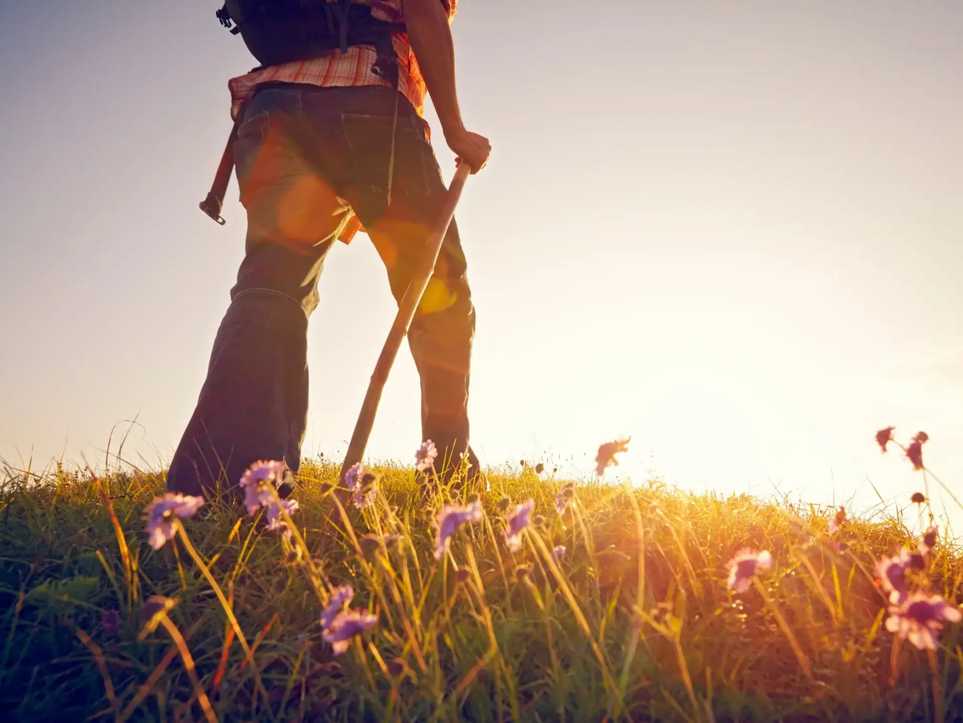 Wanderer wandert über eine Blumenwiese