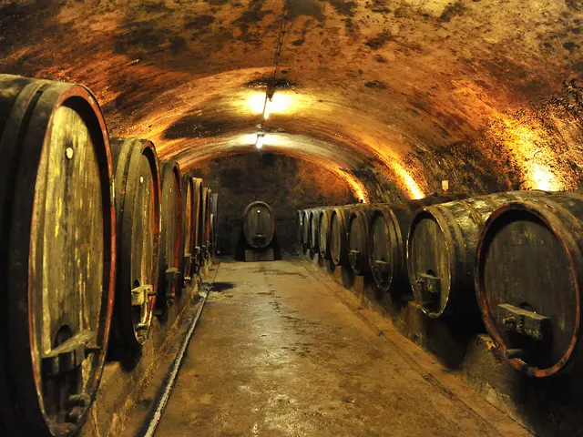 Urlaub auf dem Weingut - Weinprobe inmitten von Eichenfässern im Weinkeller erleben