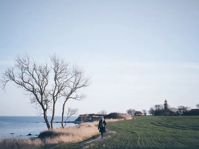 Eine Person spaziert zu Fuß am Rand eines Feldes entlang mit Blick auf die Küste. 