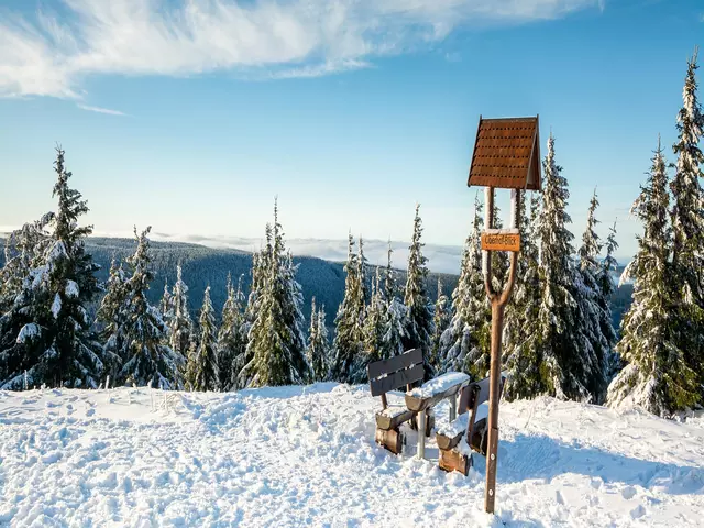 Winterurlaub in Thüringen verbringen und auf dem Schneekopf den Ausblick auf Oberhof genießen