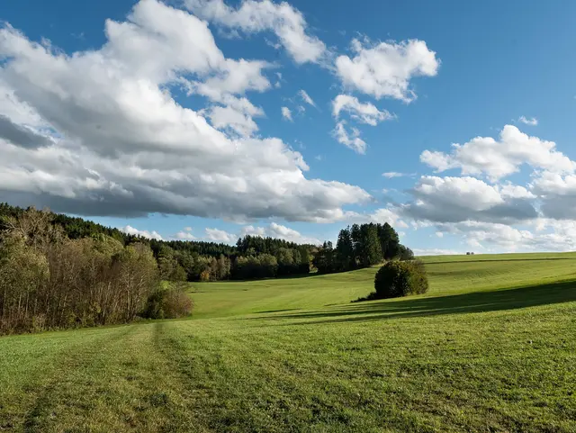 Hügellandschaft in Oberschwaben