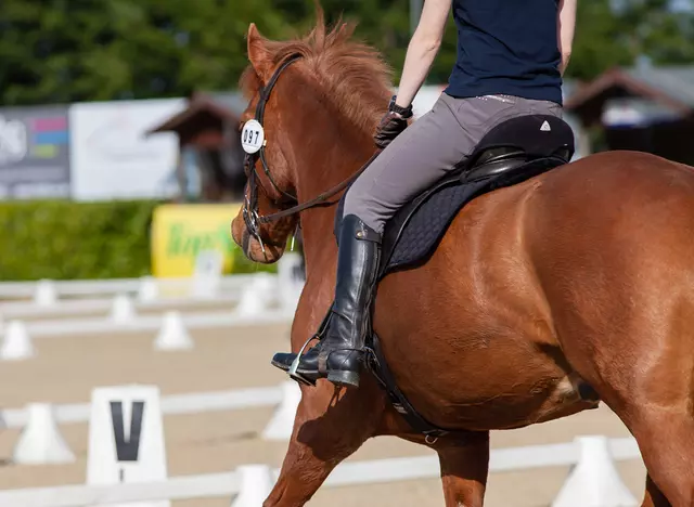 im Urlaub auf dem Reiterhof am Bodensee Reitunterricht auf dem Reitplatz erhalten