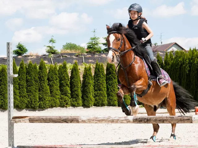 im Reiturlaub in Thüringen Reitunterricht im Springreiten erhalten