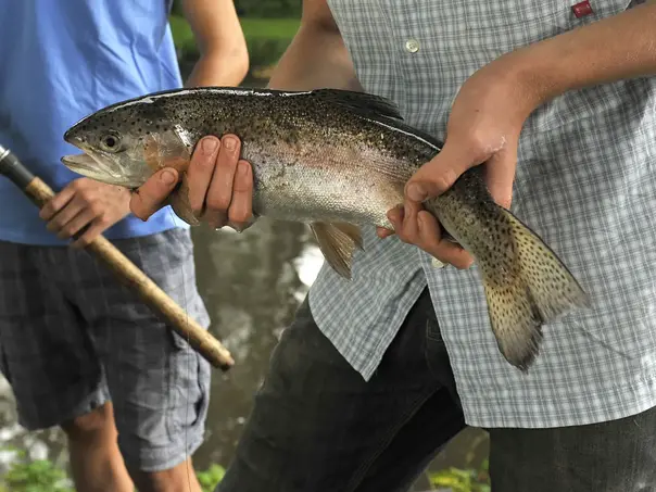Angeln auf dem Fischerhof: frisch gefangener Fisch