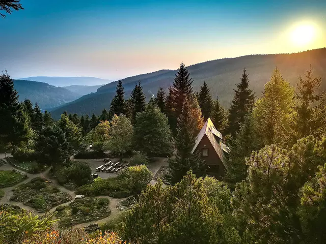 der Rennsteiggarten in Oberhof ist ein Botanischer Garten für Gebirgsflora und ein beliebtes Ausflugsziel