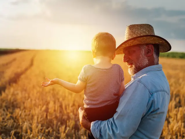 grandfather holding his grandson standing in the wheat field grandfather holding his grandson standing in the wheat field