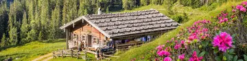 Wooden mountain hut in the alps, Salzburg, Austria