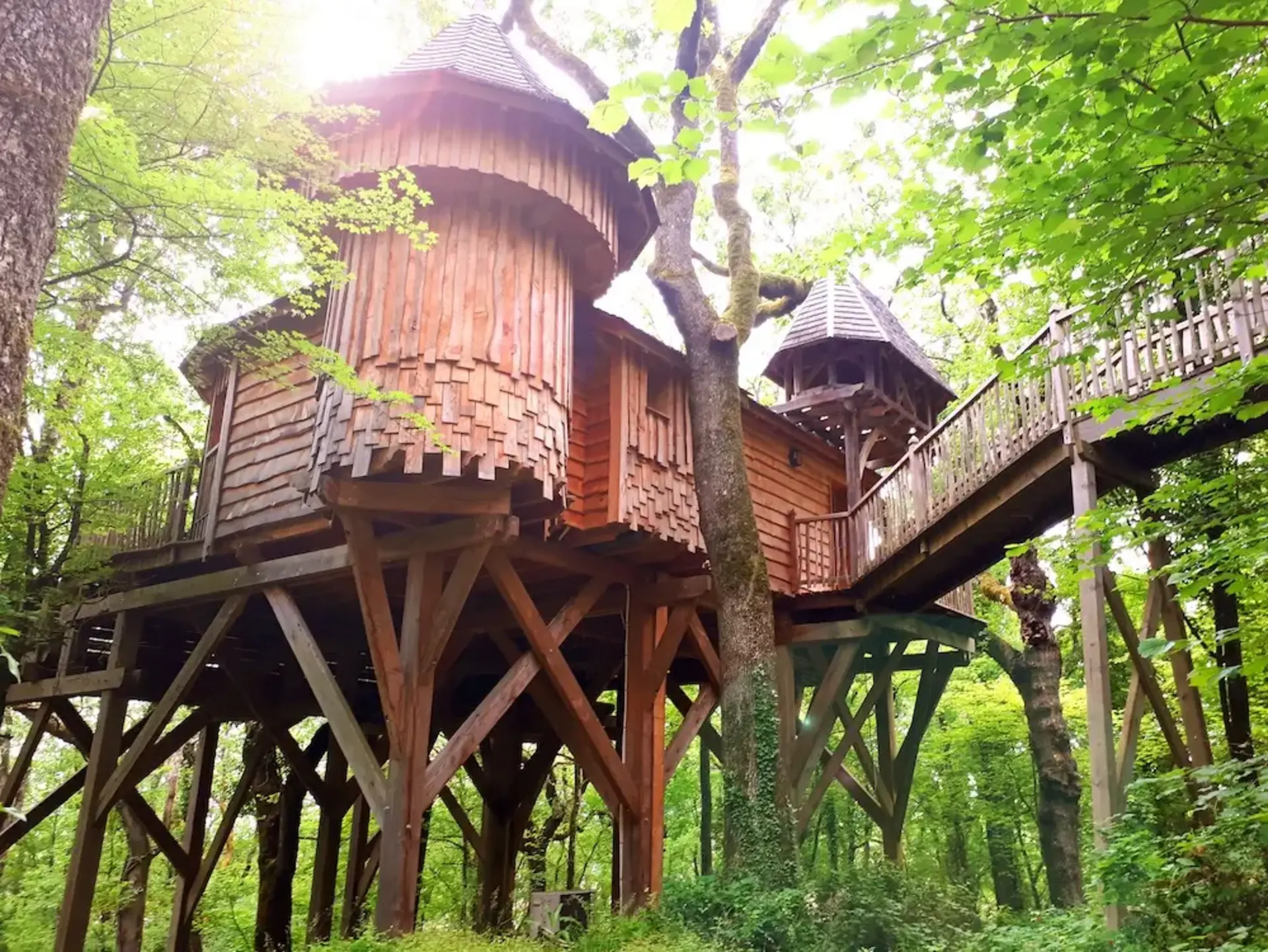 Baumhaus im Wald – außergewöhnlich übernachten beim Urlaub auf dem Land - © Lsantilli, adobe stock Rundes Baumhaus aus Holz steht auf Stelzen erhöht zwischen Bäumen im Wald
