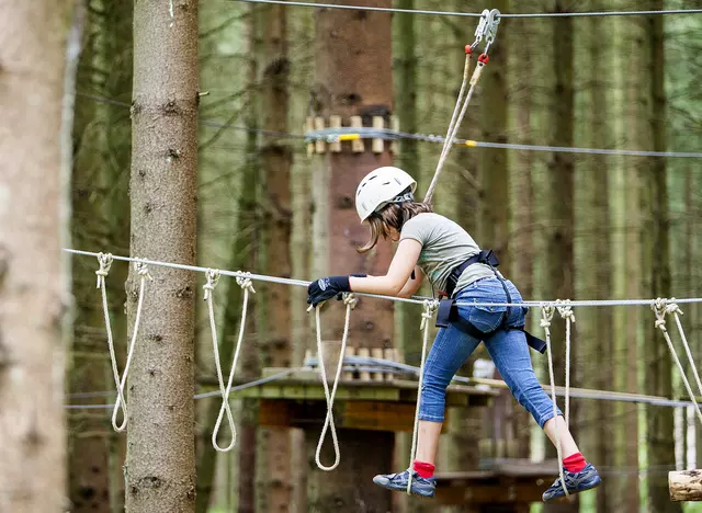 im Urlaub auf dem Bauernhof im Hunsrück einen Ausflug mit Kindern zum Erlebnis- und Kletterwald in Kell am See machen