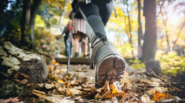 Person wandert auf einem Waldweg im Herbst