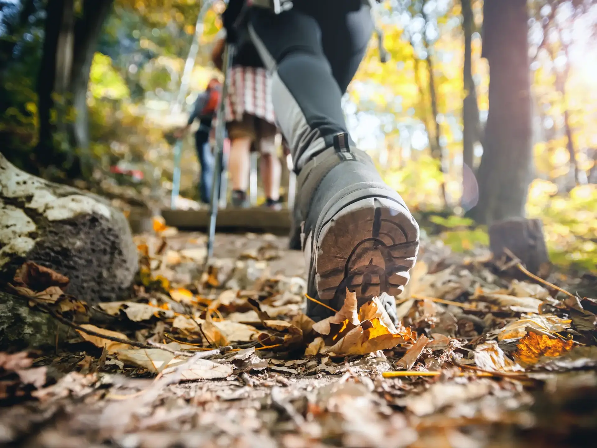 Person wandert auf einem Waldweg im Herbst