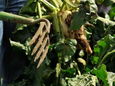 alt="im Urlaub auf dem Reiterhof in Schleswig-Holstein auf Ponys reiten lernen"