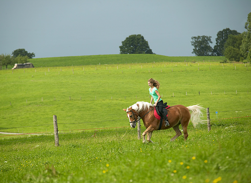 Urlaub auf dem Reiterhof, Reiten, Reiturlaub und Reiterferien in Bayern ...