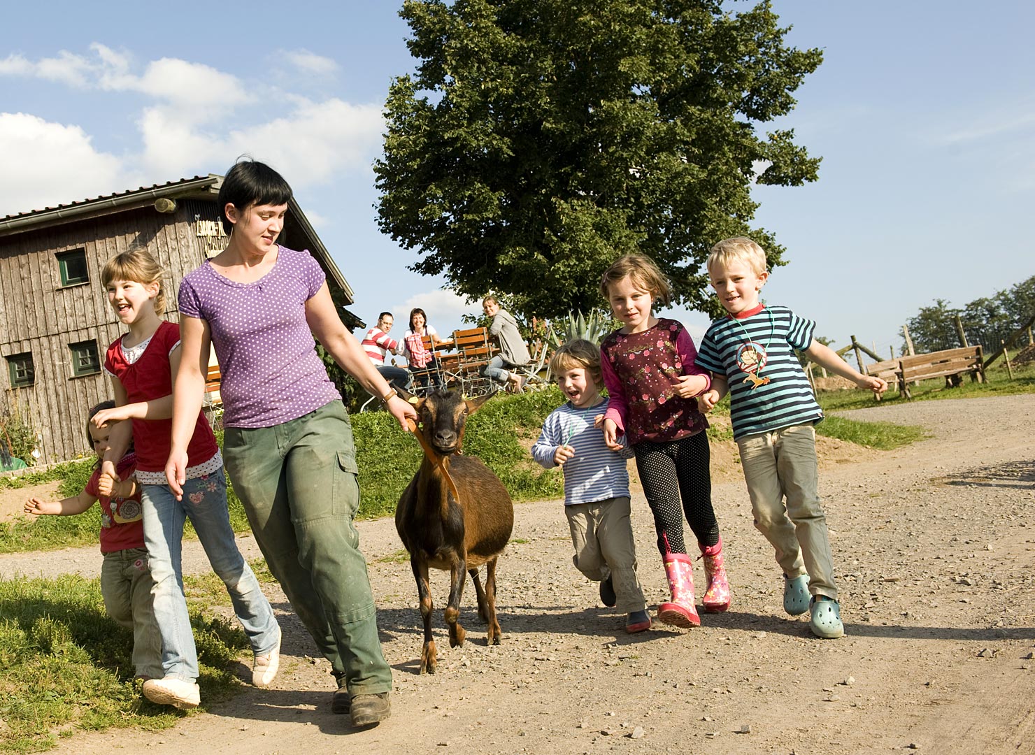 urlaub auf dem kinderbauernhof in ganz deutschland bauernhof und kinderhof fur familien mit kindern landsichten de