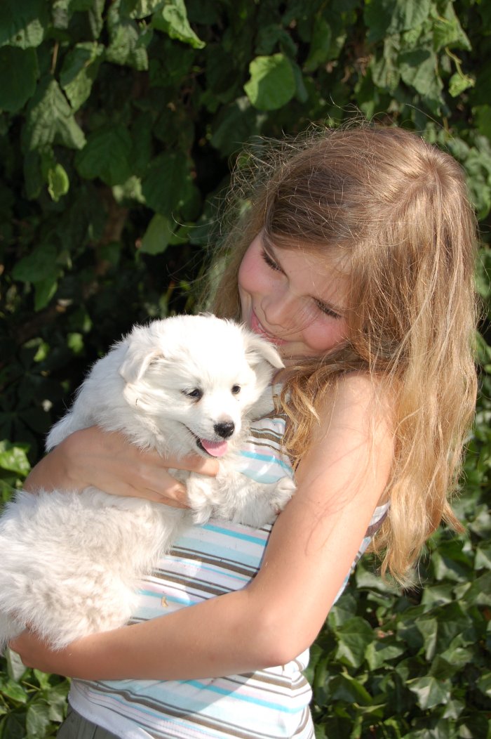 Urlaub mit dem Hund in NRW hundefreundlicher Bauernhof ￨ Landsichten.de