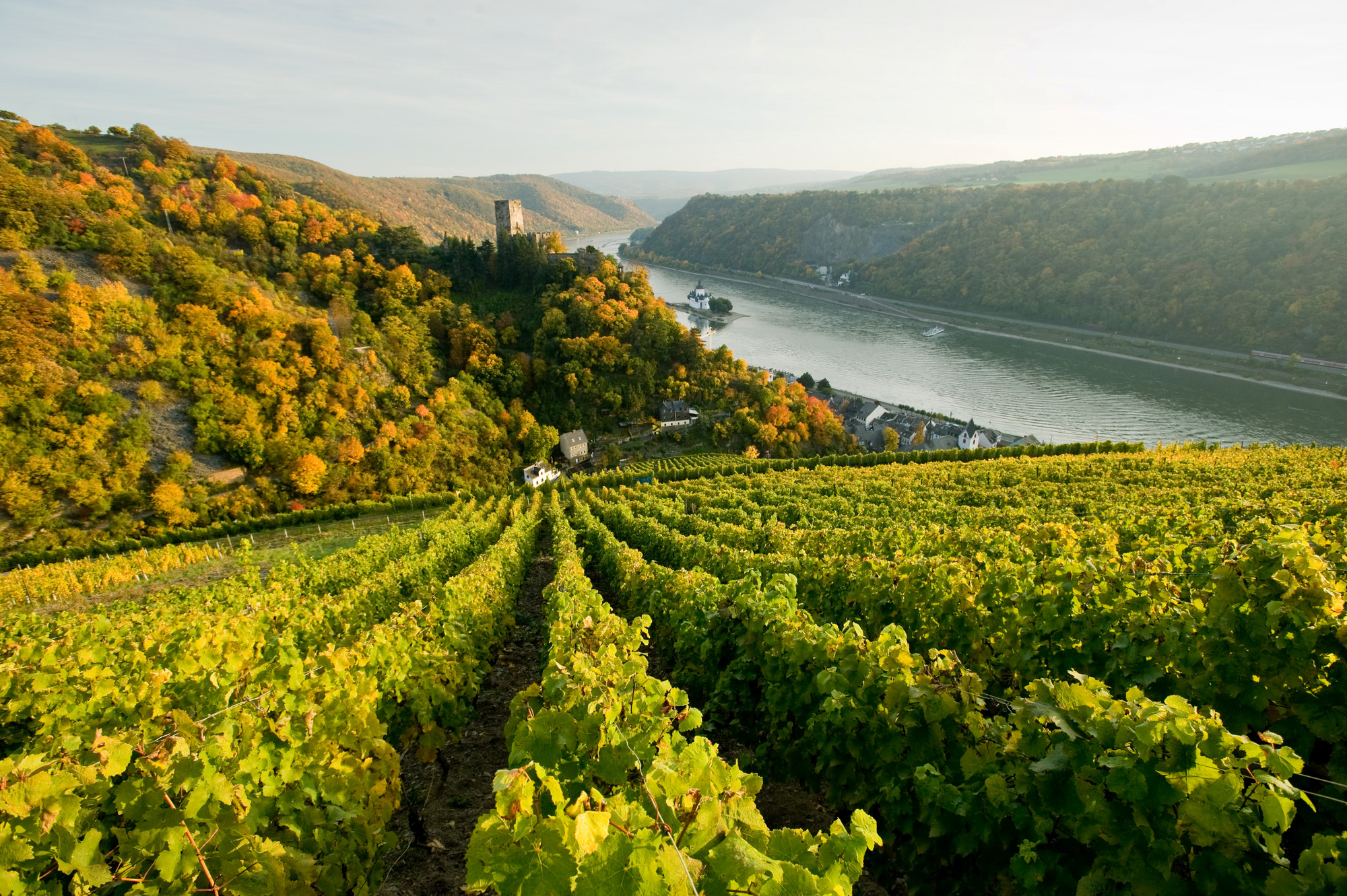 Urlaub in Rheinland-Pfalz - auf dem Bauernhof oder beim Winzer an Mosel, Rhein, Nahe, Saar oder 