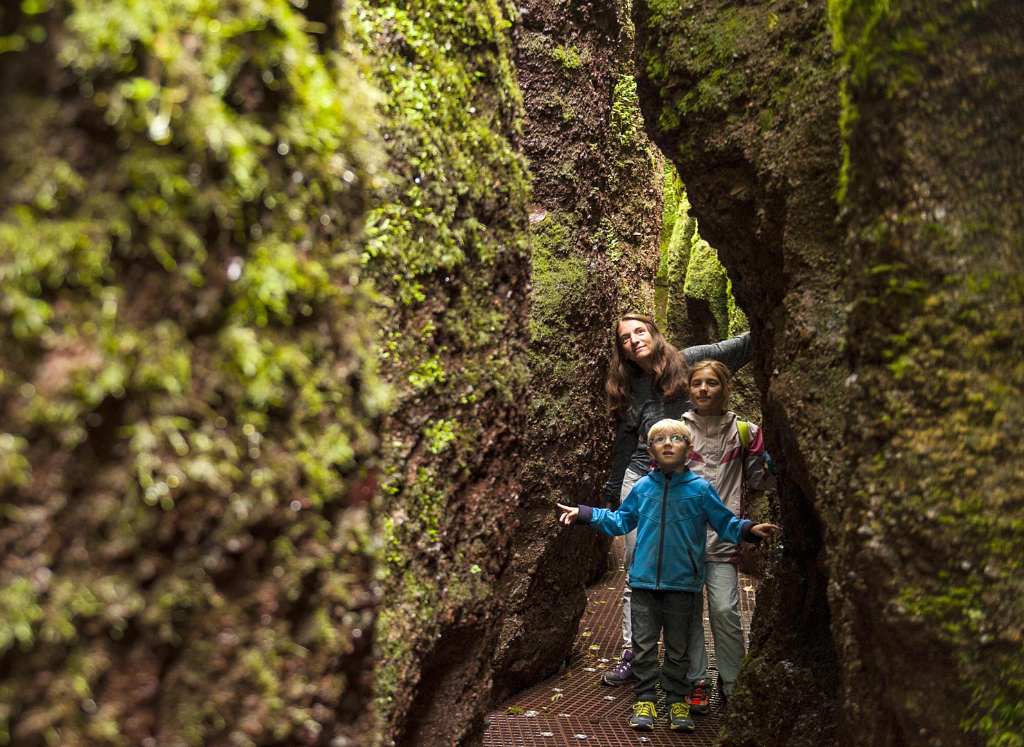 Urlaub Nationalpark Hainich Ferienwohnung, Ferienhaus, Bauernhof