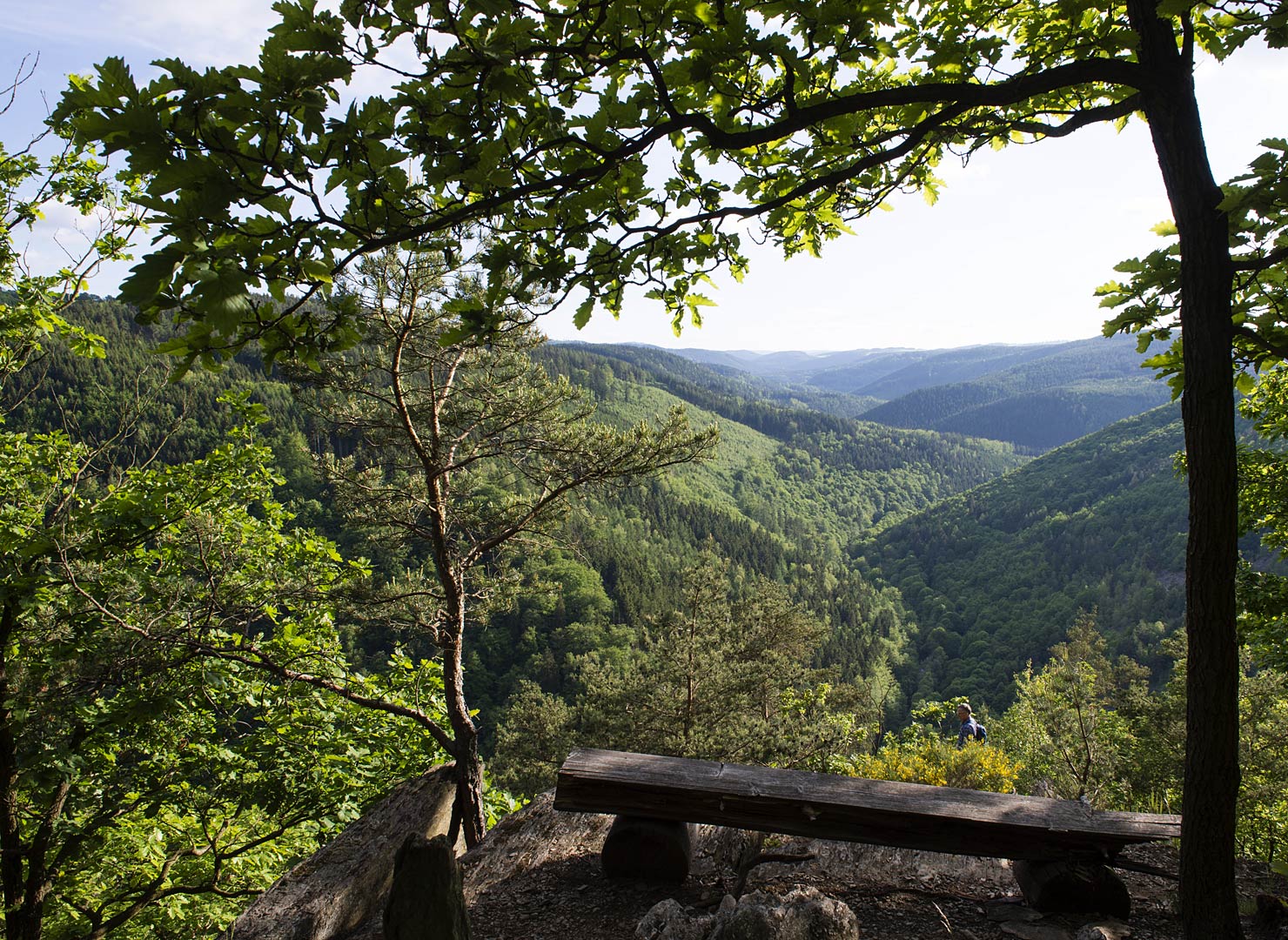 Urlaub Thüringer Wald Ferienwohnung, Ferienhaus, Bauernhof