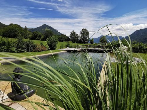 Naturschwimmteich Naturschwimmteich