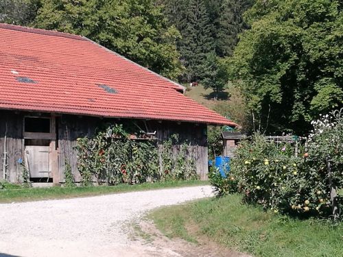 alte Scheune alte Scheune