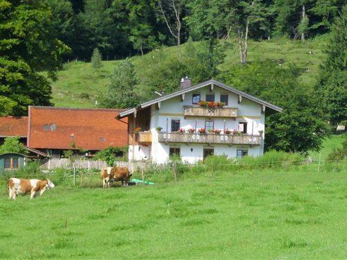 Bauernhof Bauernhof