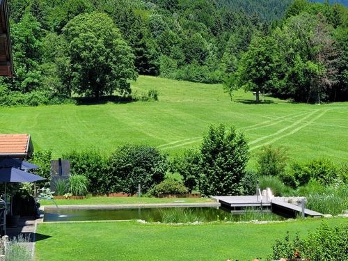 Blick zum Naturschwimmteich Blick zum Naturschwimmteich
