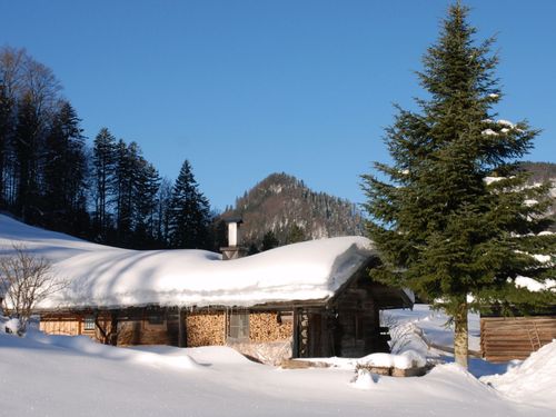 Staffegg - Alm im Winter
